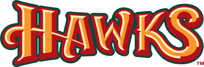 Boise Hawks 2007-Pres Wordmark Logo iron on heat transfer